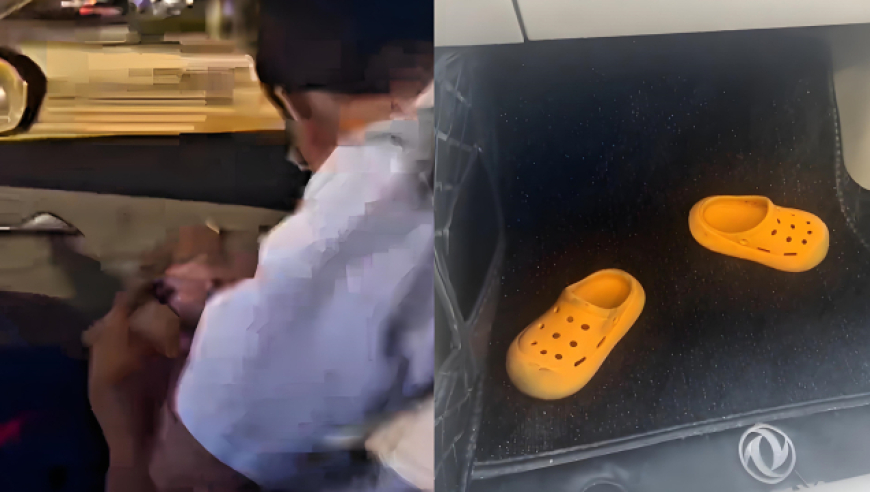 树下有片红房子大结局,澳门彩今晚开奖,全面解答解释落实_移动版V2.70