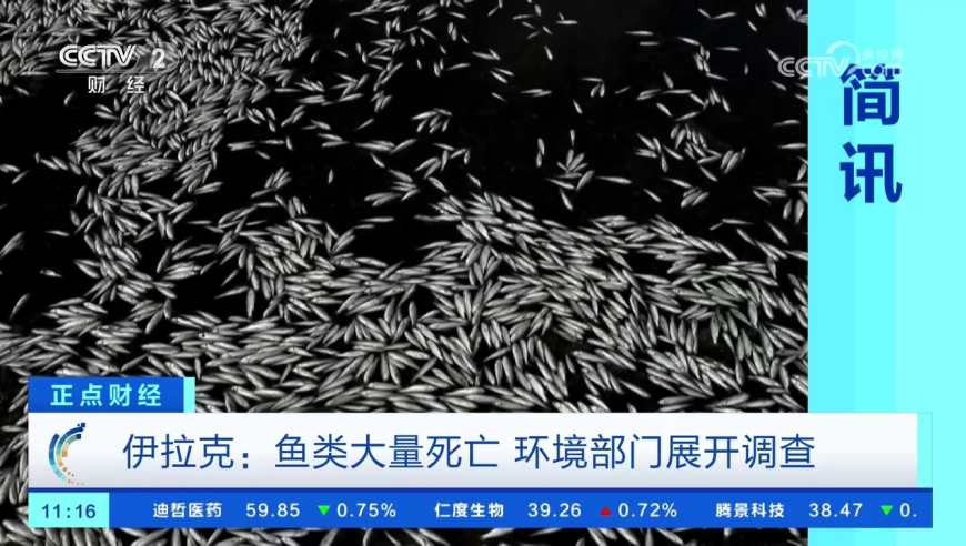 美股热门中概股多数上涨,香港今晚的特马开几号,准确资料解释落实_iosV9.53